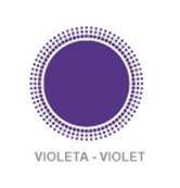 Fantasy Color Violeta 100 ml Exitenn